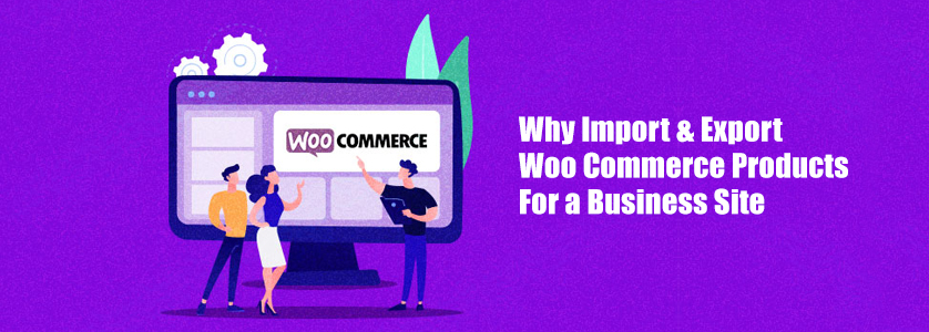 Why Import & Export Woo-Commerce Products For a Business Site